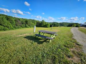 a picnic table in a field next to a road at Hocking Hills Store Campsite #4 in Logan
