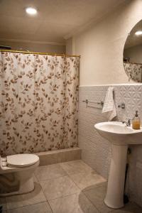 a bathroom with a shower curtain and a toilet and a sink at Suite Colonial Patrimonio UNESCO Centro Histórico Cuenca in Cuenca
