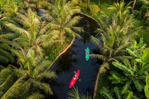 two boats in a river between palm trees at Nature Garden Ecolodge Ninh Bình in Ninh Binh