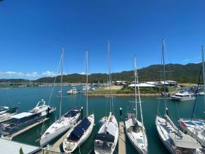 a group of boats docked in a harbor at Blue on Blue Studio Room 1352 in Nelly Bay +4 photos