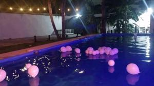 a group of pink balloons in a pool at night at Bolet in Monterrey +4 photos