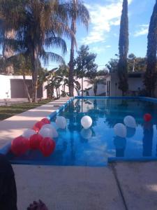 a swimming pool with red and white balloons on it at Bolet in Monterrey
