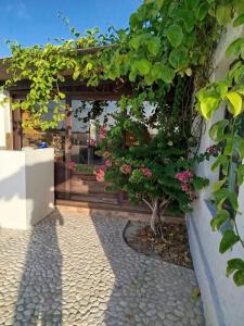 a courtyard with a tree with pink flowers at Castello in Anakao