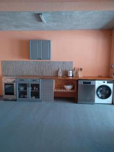 a kitchen with a washing machine and a microwave at Apartman Dubravko Tribanj in Starigrad