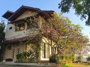 a house with a tree in front of it at Maluk House in Taliwang