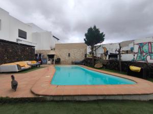 a cat is standing next to a swimming pool at LANZATE! in Tinajo
