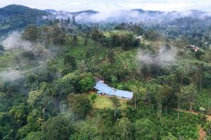 a house on a hill in the middle of a forest at The 6th Milepost Tea Bungalow Bandarawela in Bandarawela