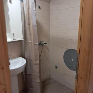 a bathroom with a shower and a sink at Etno house Bajka in Žabljak +25 photos