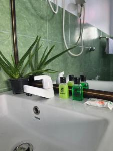 a bathroom sink with bottles of soap and a plant at Polo Region Rest Inn in Haputale