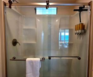 a shower with a glass door in a bathroom at Oceanfront studio see whales and dolphins in Pahoa