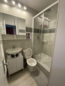 a bathroom with a shower and a toilet and a sink at Le Cocon d'Aurouze in Le Dévoluy