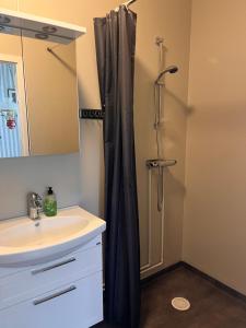 a bathroom with a shower curtain and a sink at Fyrås Gård Tallstugan in Fyrås +8 photos