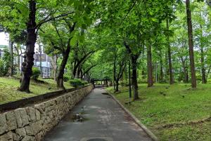 a path in a park with trees and a stone wall at 寬居 kuanju 一棟貸し 広々一戸建て JR桜ノ宮駅徒歩3分 最大8名 梅田 大阪城公園アクセス良好 in Osaka