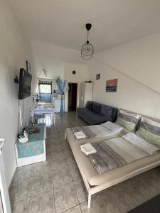 a living room with two beds and a couch at Villa Alexa Cesarica in Cesarica