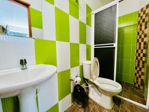 a green and white bathroom with a toilet and sink at Angel Mari a Doradal in Doradal