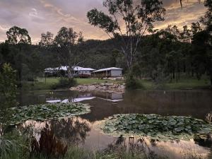 a pond with lily pads in front of a building at Hunter Moon in Broke