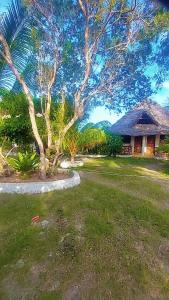 a house with a tree in front of a yard at Nanakizilodge in Mtendeni +35 photos
