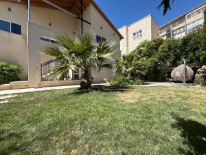 a palm tree in a yard next to a building at Alpinia in Majdal Shams