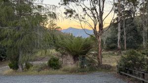 a park with a bench and trees and a mountain at Cradle Gateway Chalets in Moina