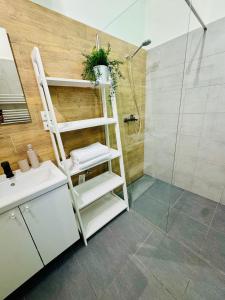 a bathroom with a ladder next to a shower at City Apartment 920 in Pardubice +26 photos