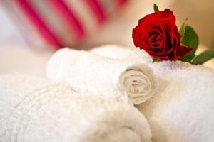 a red rose sitting on top of a towel at Galton House in Windhoek