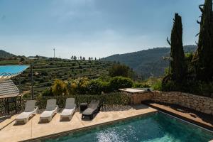 a pool with chairs and a view of a vineyard at עיינות ספיר - Einot Sapir in Sappir