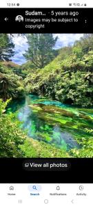 a screenshot of a picture of a river at Sanctuary 4 in Tauranga