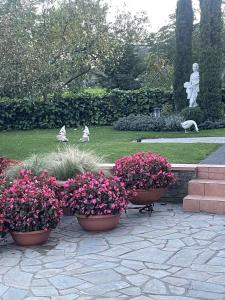 a garden with three pots of flowers and a statue at Maria's Studios Rent Peplos in Péplos
