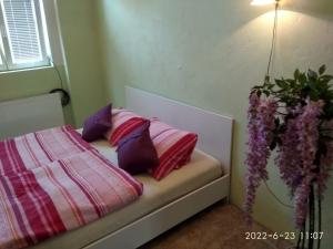 a bedroom with a bed with pillows and a plant at Mary in Cheb