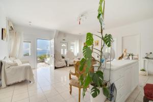 a living room with a plant in the middle at Xenia & Antonis in Nikiana