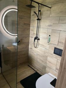 a bathroom with a shower with a glass door at Agroturystyka u Iwony in Wiekowo +40 photos
