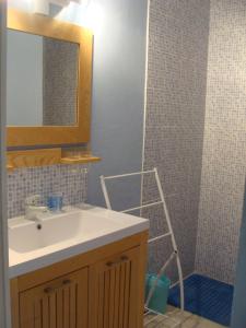uma casa de banho com um lavatório, um espelho e um chuveiro em La Cerisaie em Ferreux