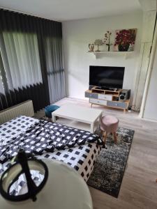 a living room with two beds and a television at Ferienwohnung mit Pfiff in Siegsdorf