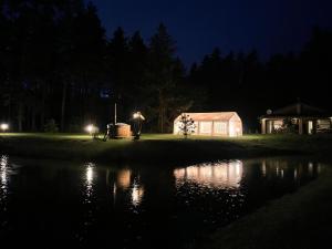 a house at night next to a body of water at Vanago Lizdas in Druskininkai