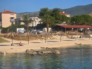 a group of animals on a beach near the water at AiZ in Kastel Stafilic