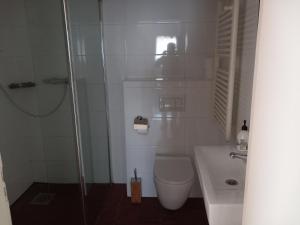 a bathroom with a shower and a toilet and a sink at Stegelshof 1 in Eygelshoven