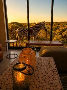 a zebra standing in front of a window with a table at 401 Kingfisher in Gansbaai