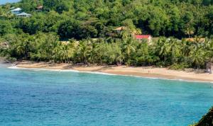 Φυσικό τοπίο κοντά σε αυτό το διαμέρισμα