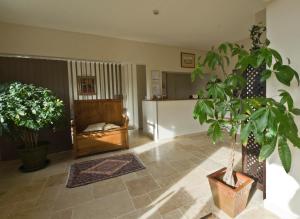 a living room with a couch and a plant at Hotel Les Oliviers in Fayence