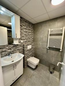 a bathroom with a sink and a toilet and a mirror at Emerald Luxury Apartments in Skopje +52 photos