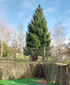 a pine tree behind a wooden fence with a fence sidx sidx sidx at Pavilion - T3 Duplex, avec Terrasse et Parking in Montagnat