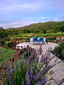 a table and chairs in a garden with purple flowers at Komani Hideout in Podgorica
