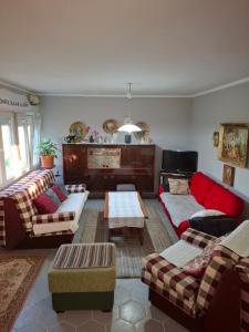 a living room with couches and a fireplace at Komani Hideout in Podgorica