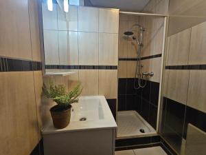 a bathroom with a shower and a sink with a potted plant at le chale heureux in Gérardmer