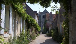 an alley in an old town with ivy at Studios Saint dye sur Loire in Saint-Dyé-sur-Loire