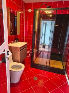 a red bathroom with a toilet and a shower at Casa Cristina Corbu in Corbu