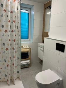 a bathroom with a toilet and a shower curtain at Apartamenty w Domu Bezpieczna Przystań in Frombork +25 photos
