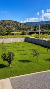 a field of green grass with trees in it at The River Studio Beli in Podgorica +6 photos
