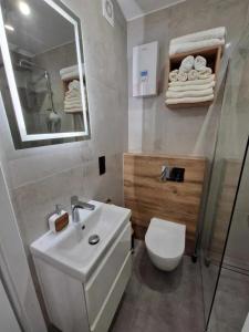 a bathroom with a sink and a toilet and a mirror at Apartament Konecka 2J in Sielpia Wielka +1 photo