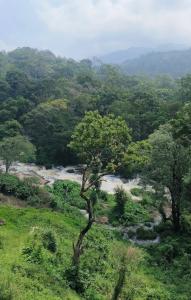 a river in the middle of a field with trees at Munnar Gate Residency in Pooppara